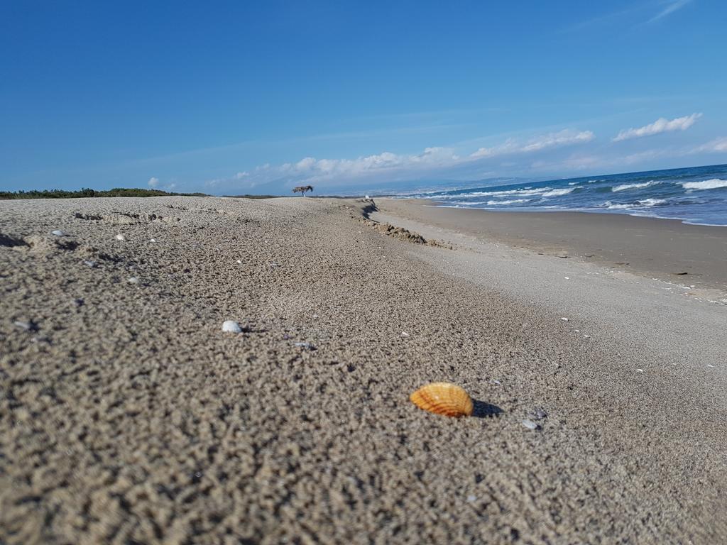 Villa Sulla Spiaggia Tra Catania E Siracusa Agnone Bagni Exterior foto